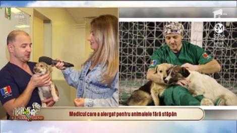 Un medic a alergat ca să câștige 10.000 de euro pentru animalele fără stăpân! „Animăluțele nu au nicio vină”