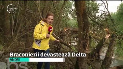 Imagini apocaliptice din Delta Dunării! Braconierii au făcut ravagii, după o metodă neobişnuită