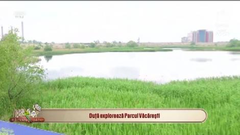 Asociația Parcul Natural Văcărești caută voluntari și rangeri. Ce trebuie să faci dacă vrei să dai o mână de ajutor