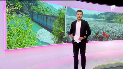 Ca în fiecare an, după ploile sezoniere, lacul Bicaz, colţul de Rai din judeţul Neamţ, se umple de gunoaie