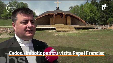 Aproape 650 de mii de puieţi vor fi plantaţi pe mai multe suprafeţe forestiere din zona Şumuleu Ciuc, pentru a forma Pădurea Papei Francisc