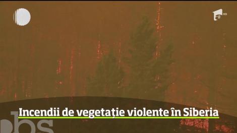 Flăcările se extind ameninţător în pădurile din Siberia
