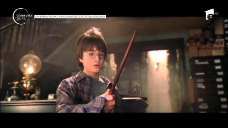 Game of Thrones este fără îndoială un serial-fenomen! Mulţi dintre actorii acestui serial au jucat mai întâi în Harry Potter