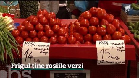 Vremea capricioasă face ravagii în țară! Românii care cultivă roșii riscă să piardă subvenția de 3000 de euro