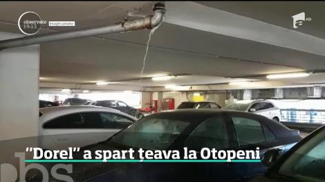 Mai mulţi şoferi care şi-au parcat maşina la Aeroportul Otopeni au avut parte de o surpriză: şi-au găsit autoturismele spălate cu forţa