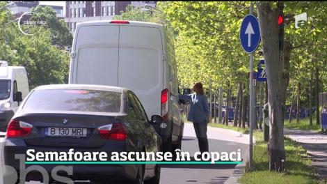 În Bucureşti, multe semafoare şi indicatoare rutiere sunt ascunse pur şi simpu în copaci