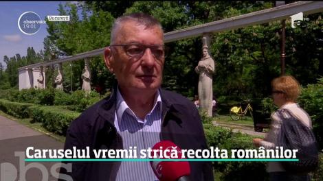 Vremea continuă să îşi facă de cap şi se schimbă de la o zi la alta. După tornade, grindina i-a speriat pe locuitorii din Dâmboviţa