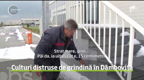 A fost rupere de nori în Dâmboviţa, unde o furtună de numai câteva minute a făcut prăpăd