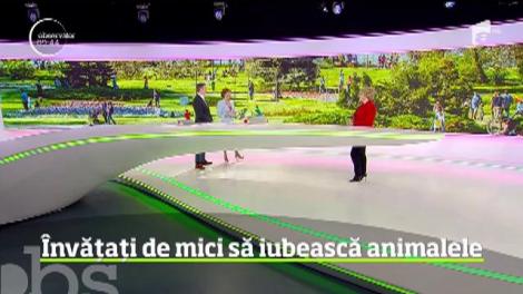 Prezenţa unui animal în viaţa unui copil îl va ajuta pe cel mic să se dezvolte mai armonios. Psihologul Lorena Diaconescu ne dă cele mai bune sfaturi