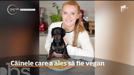 Câinele care a ales să devină vegan