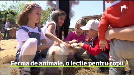 Copiii învață despre animale prin joacă