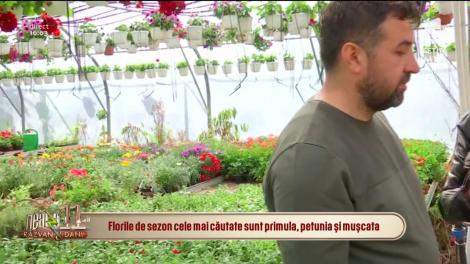 Povestea unui milionar în flori! Florin Ristea a adus moda serelor îmbelușugate în București