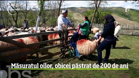 La poalele Muntelui Semenic există un ţinut de vis, cu oameni primitori şi tradiţii care au supravieţuit timpului