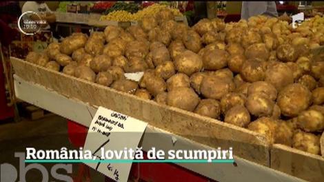 Este cea mai scumpă primăvară din ultimii ani. Cartofii au ajuns mâncare de lux