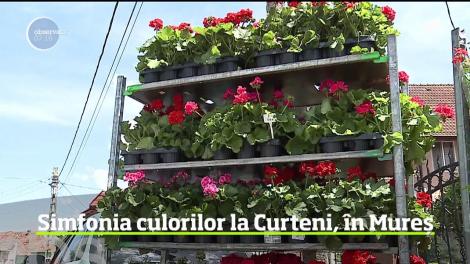 A fost zi de sărbătoare la Curteni, în Mureş. Florile au fost în centrul atenţiei