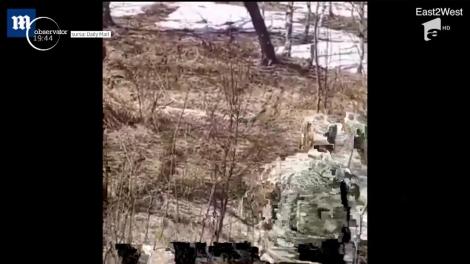 Imagini virale. Vânători prădați de urs chiar în timp ce aceştia îşi curăţau armele