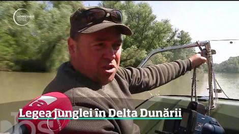 Imagini șocante cu atacul din Delta Dunării! O persoană a ajuns la spital. „Dacă-mi pierdeam ochiul, îmi pierdeam pâinea de la gură” - Video