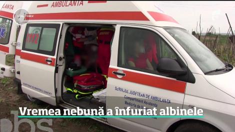 Schimbărilor bruşte de vreme înfurie albinele. Un bărbat din Vaslui a murit după ce a fost înţepat de un roi de albine