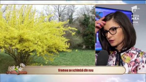 Vremea se schimbă din nou. Gabriela Băncilă, meteorolog ANM: Ploile vor continua până spre sfârșitul săptămânii