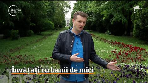 Cum să economisești când ai un copil