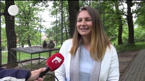 Un pui de pavian cu mantie, vedeta grădinii zoologice din Hunedoara