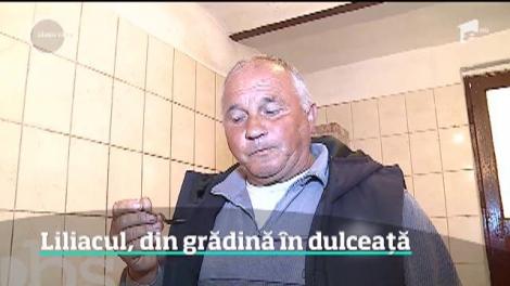 Aroma primăverii se poate pune la conservă, pentru iarnă. Siropuri şi dulceaţă din florile parfumate de liliac