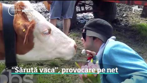 Sărută vaca, noua provocare de pe Internet!