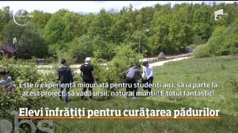 Zeci de elevi din patru ţării, înfrățiți pentru curățarea pădurilor