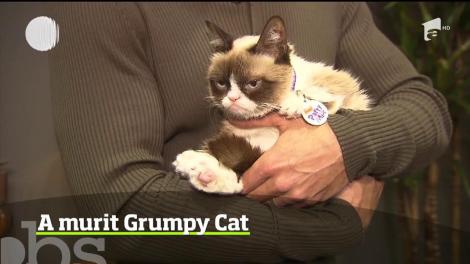 Grumpy Cat, cea mai faimoasă pisică din lume, a murit. Avea şapte ani şi a făcut furori graţie expresiei plictisite pe care o afişa