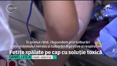 Una dintre fetițele spălate pe cap cu soluție pentru oi este în comă. Otrava i-a afectat creierul, iar medicii se luptă să o salveze