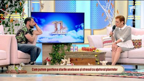 Neatza cu Răzvan și Dani. Putem scăpa de stările anxioase și de stres cu ajutorul plantelor