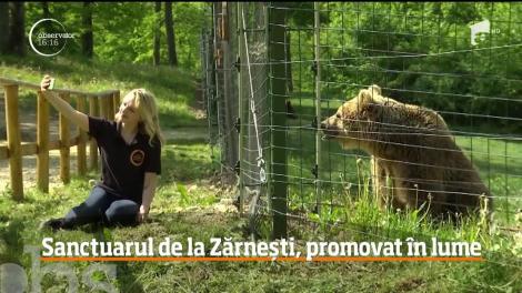 România este promovată în toată lumea de o actriţă de la Hollywood! Tânăra a făcut o pasiune pentru urşii din Sanctuarul de la Zărneşti