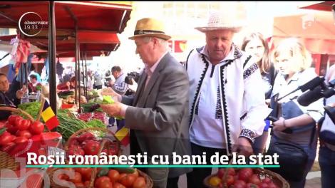 Primele roşii româneşti, dulci şi aromate, au ajuns în pieţe