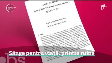 Sânge pentru viață, printre ruine