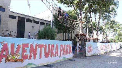 Recomandări de weekend 25 - 26 mai 2019. Cum să-ți petreci timpul liber