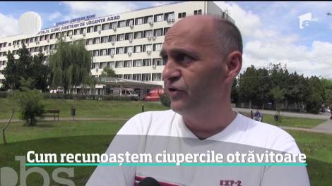 Ploile din ultima perioadă au umplut pădurile din ţară de ciuperci sălbatice. Doar că nu toţi cei care le culeg ştiu care sunt bune şi care nu