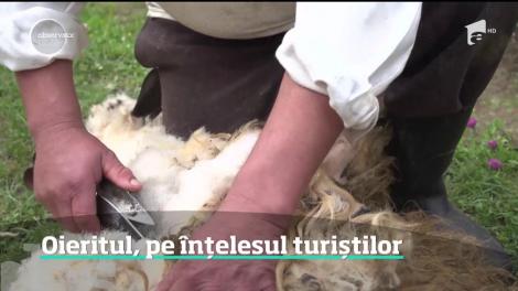 Oieritul, pe înțelesul turiștilor