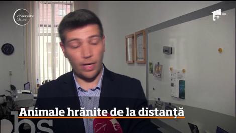 Animale hrănite de la distanță printr-un dispozitiv inventat de patru studenți