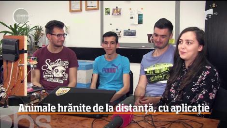 Patru studenţi de la Facultatea de Automatică din Cluj-Napoca au creat o aplicaţie care va avea grijă de patrupedele lăsate de stăpâni singure acasă