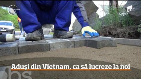Vietnamezii ajută o firmă de construcţii din Bistriţa-Năsăud să nu mai simtă criza forţei de muncă
