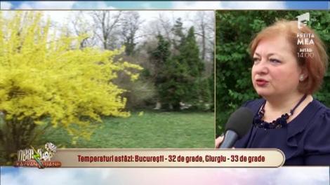 Prognoza meteo. Florinela Georgescu, director meteorologie operațională ANM:  Ploi, vânt și 33 de grade