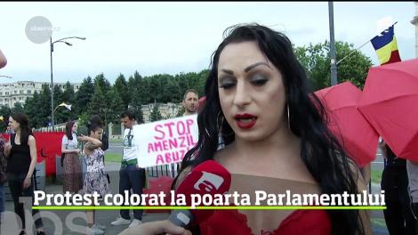 Apariţie inedită şi extrem de colorată la câţiva metri de Palatul Parlamentului