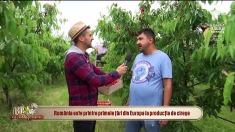 Neatza cu Răzvan și Dani. România, printre primele țări din Europa la producția de cireșe