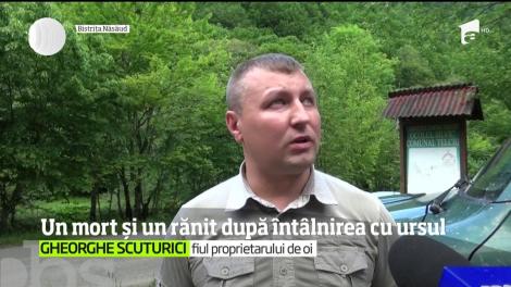 Două noi cazuri de întâlniri extrem de violente cu urşii s-au lăsat cu un bilanţ tragic