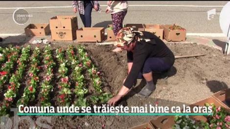 Într-o comună din Vaslui se trăiește mai bine ca la oraș