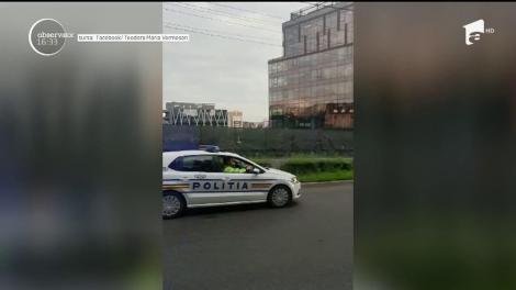 Atenție, rață cu pui pe șosea! Un echipaj al Poliției Române a dirijat traficul pentru ca păsările să ajungă la loc sigur. Imagini virale! Video