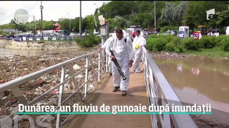 Dezastru ecologic pe Dunăre! Navele abia pot înainta printre gunoaie! Imagini greu de privit - Video