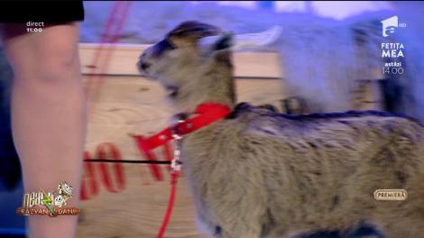 Neatza cu Răzvan și Dani. Mariana Calfa - Doar o viață ne e dată