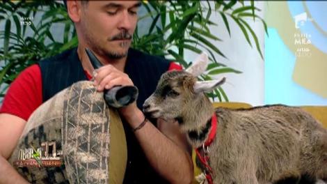 Neatza cu Răzvan și Dani.Test de inteligență pentru căprița Cleopatra, cea mai bună prietenă a Marianei Calfa, pictorița din castel: Cât fac doi plus doi?