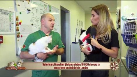 Neatza cu Răzvan și Dani. Veterinarul Aurelian Ștefan a strâns zece mii de euro la maratonul caritabil de la Londra: Vrem să sterilizăm gratuit peste 50 de pisici